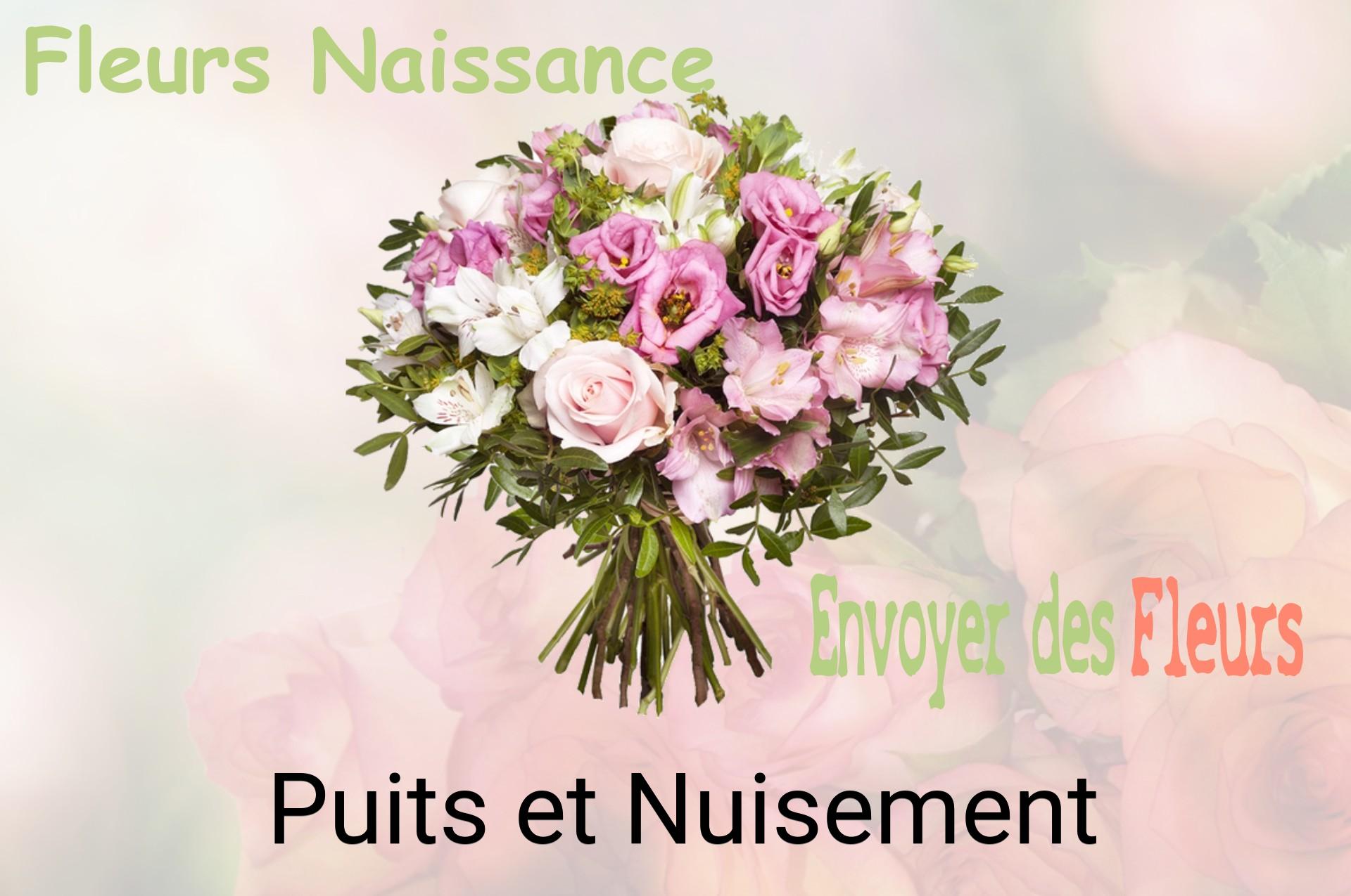 Bouquet de fleurs de naissance livré à Puits-et-Nuisement